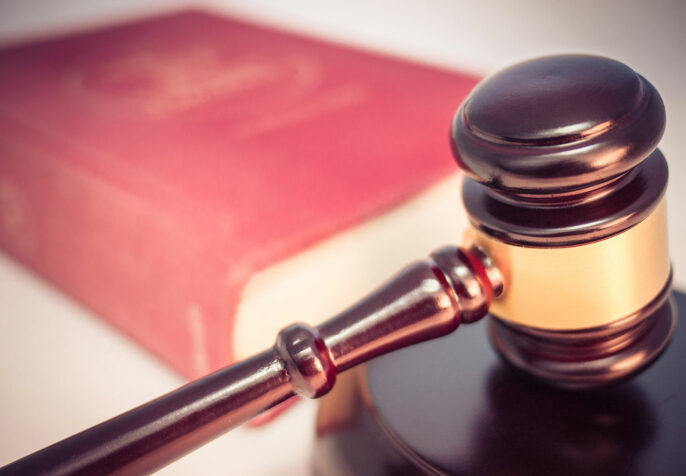 State Domestic Terrorism Laws in the United States