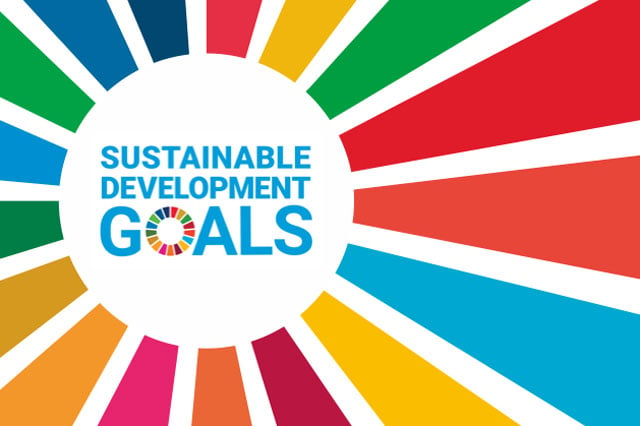 Sustainable Development Goals Agenda 2030