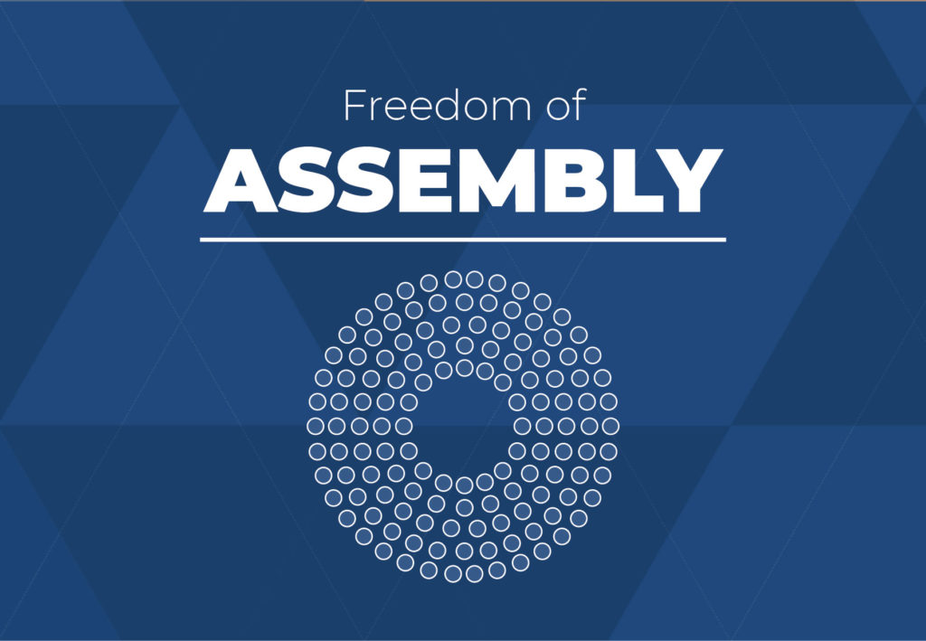 Freedom of Assembly Cover Image