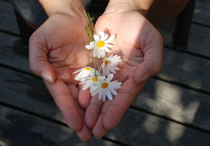 Hands holding flowers. (Photo: GLady/Pixabay)