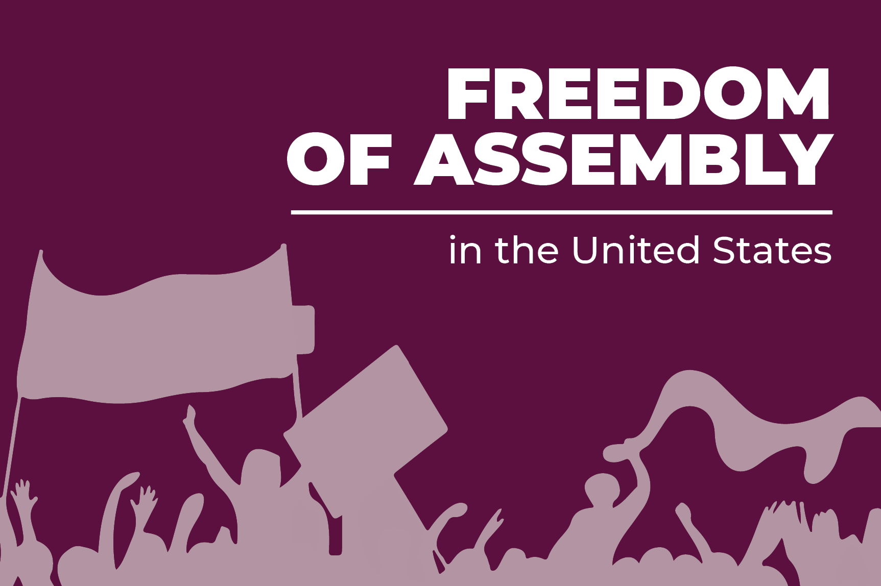 ICNL's work on issues impacting Freedom of Assembly in the U.S.