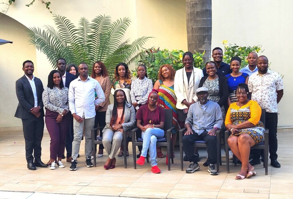 ICNL team; Africa Digital Rights Hub.