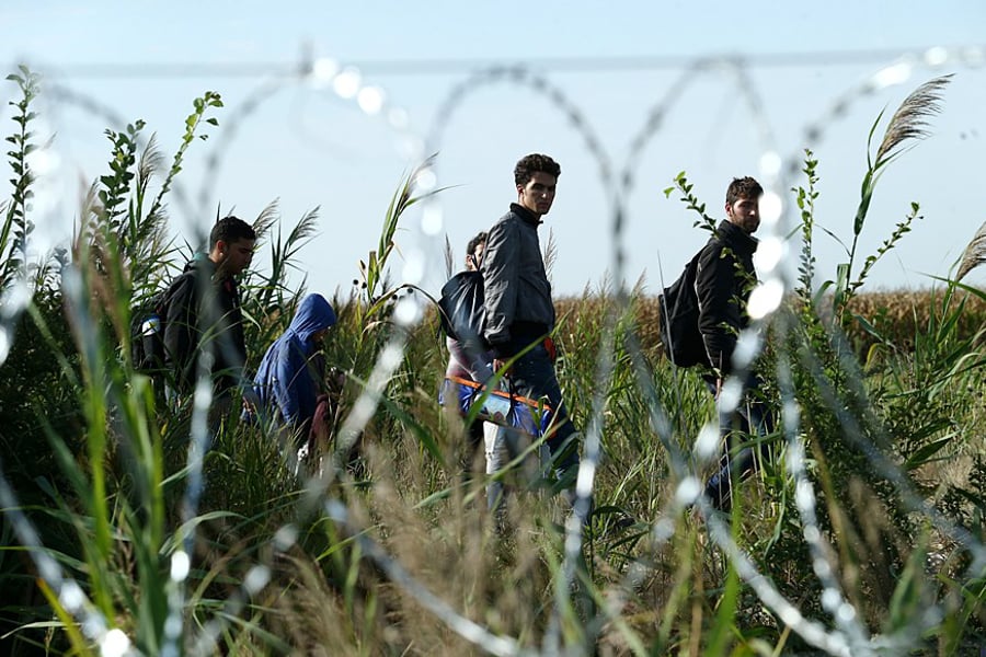 Migrants in hungary with barb wire fence (photo credit: Gémes Sándor/SzomSzed/Wikimedia)