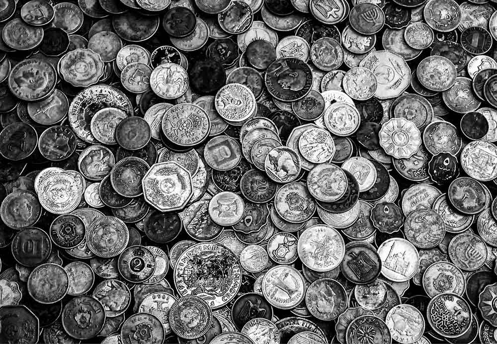 (Photo credit: Frans Van Heerden)