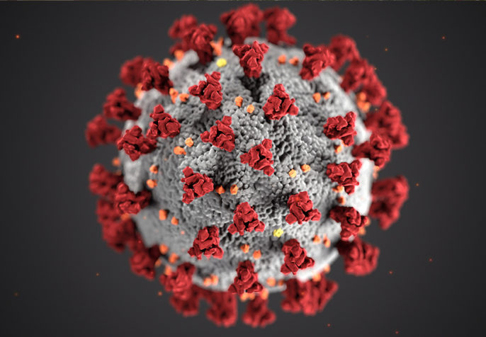 A close up picture of the coronavirus (Photo: CDC/Unsplash)