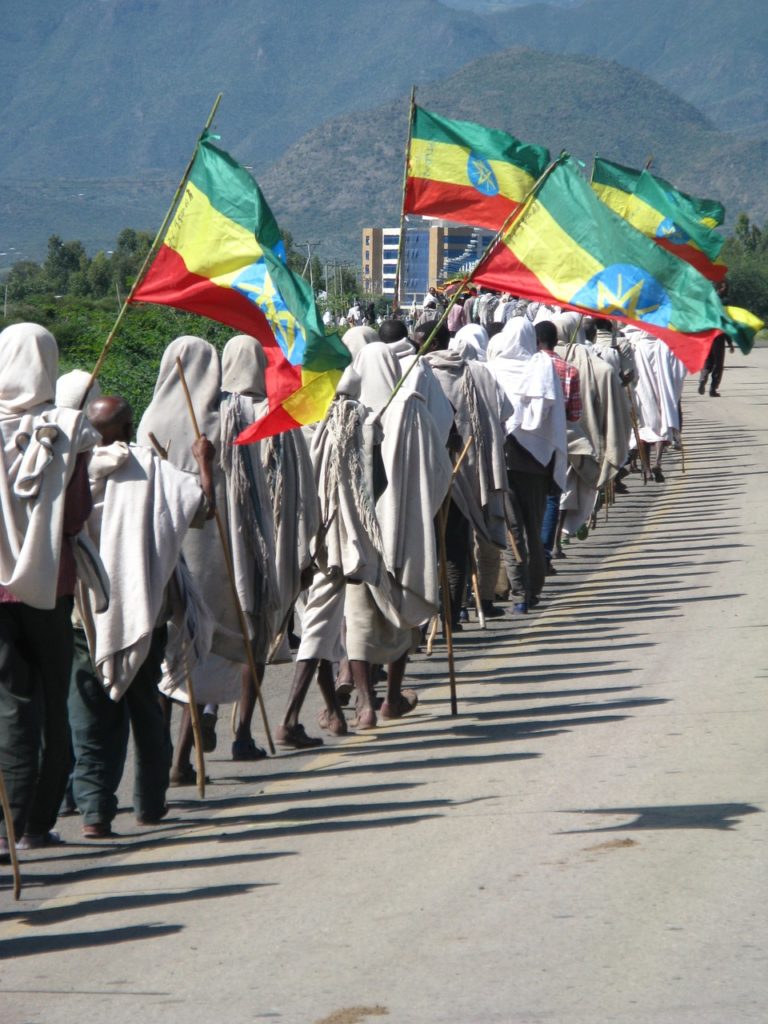 Ethiopia protestors with flags (photo credit: pixabay.com)