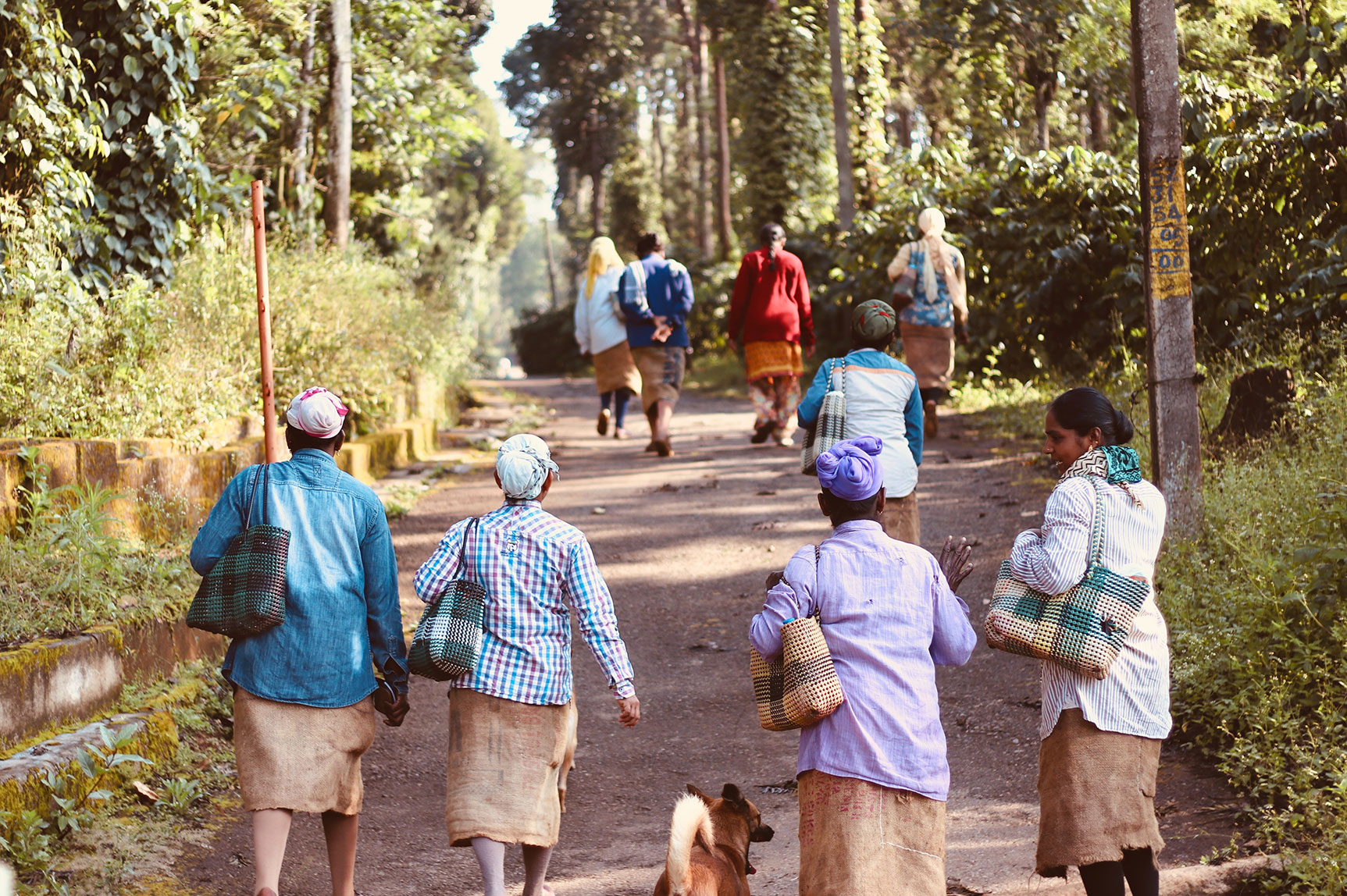 group of migrants traveling, photo credit Ravi N Jha via unsplash https://unsplash.com/photos/9TnjHkp6sRE