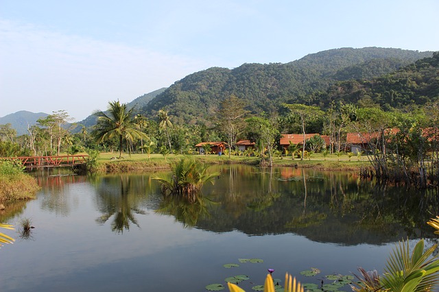 Amazon with river landscape (photo credit: pixabay.com)