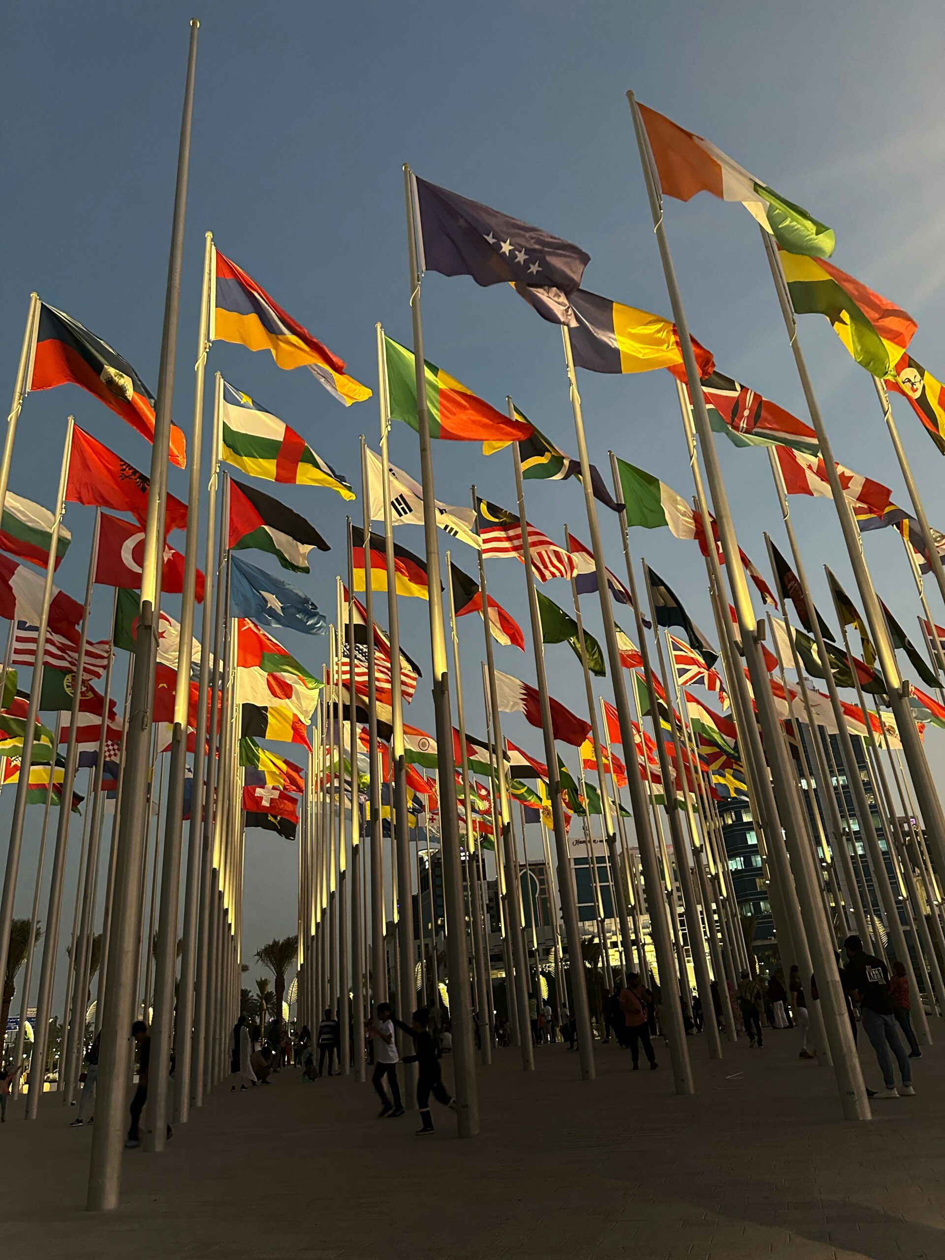 Country flags