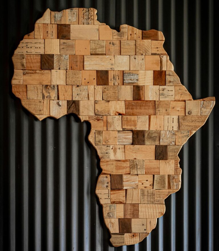 How Anti–Money Laundering Rules Are Reshaping Civil Society in Francophone Africa