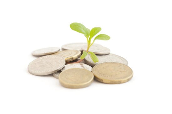 A small pile of coins with a seedling growing out of it (Photo: Gratuit/Creative Commons)